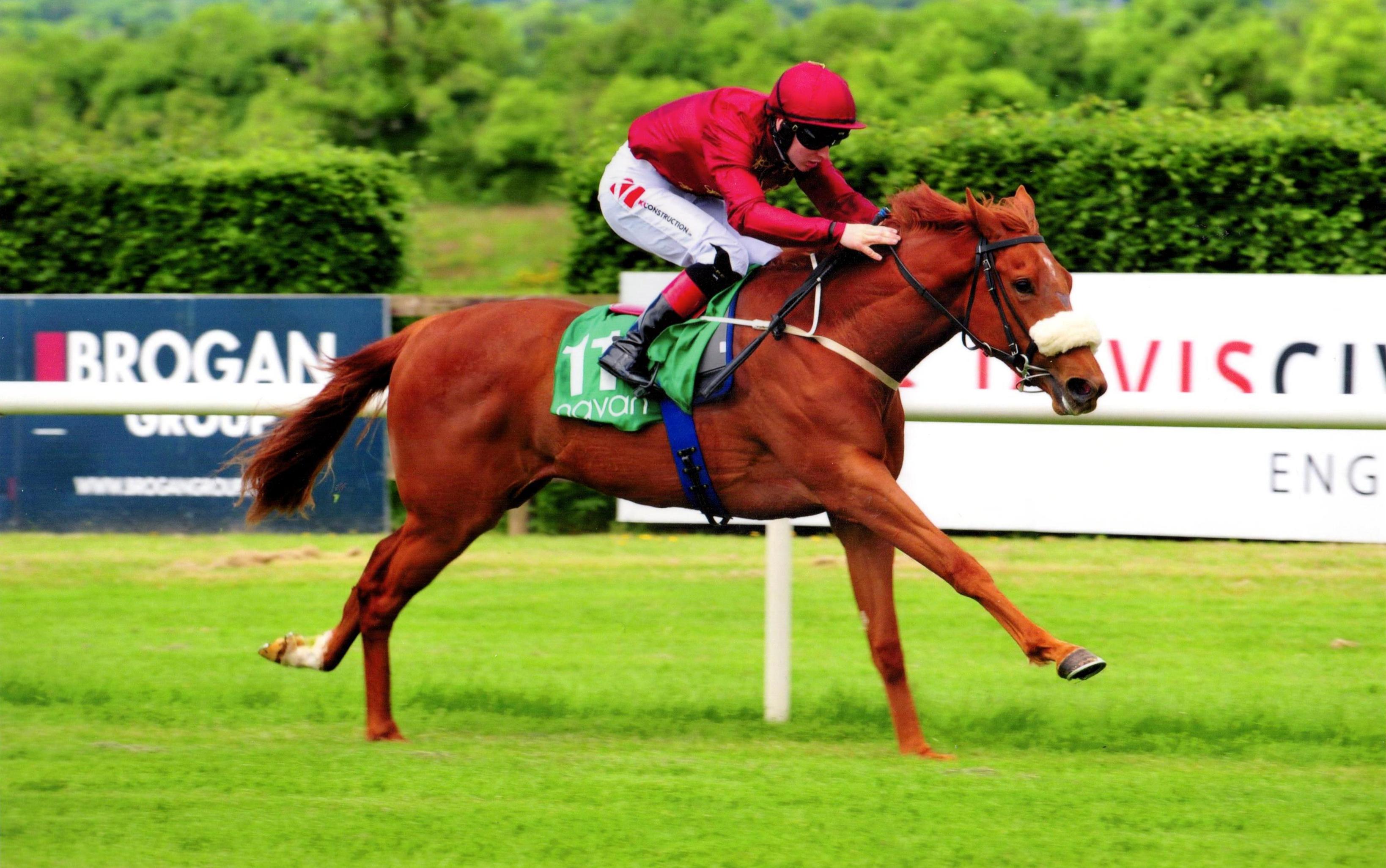TREASURING wins her maiden in style at Navan 3rd June 2017